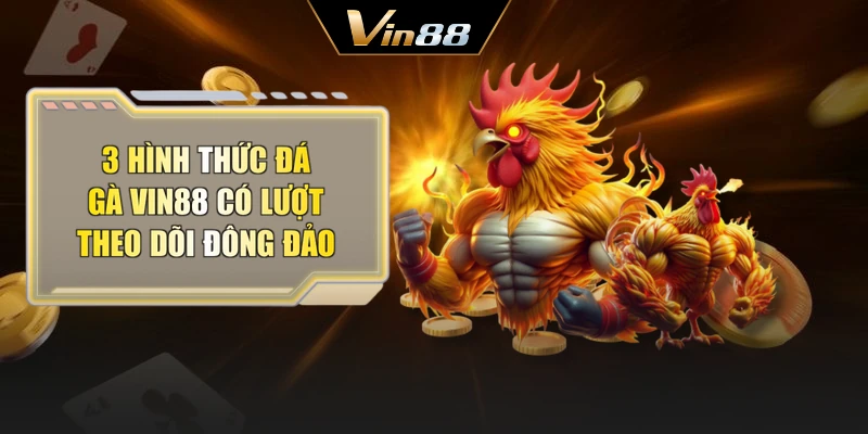 3 hình thức đá gà Vin88 có lượt theo dõi đông đảo