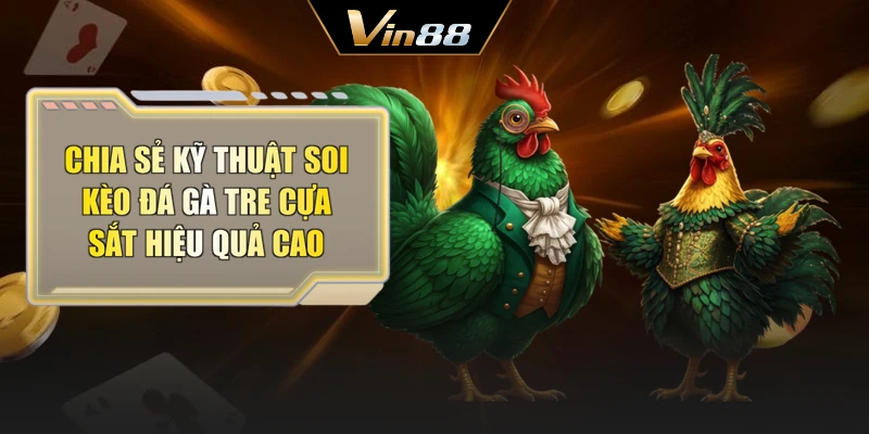 Chia sẻ kỹ thuật soi kèo đá gà tre cựa sắt hiệu quả cao