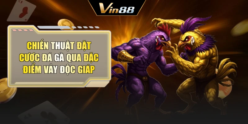 Chiến thuật đặt cược đá gà qua đặc điểm vảy độc giáp