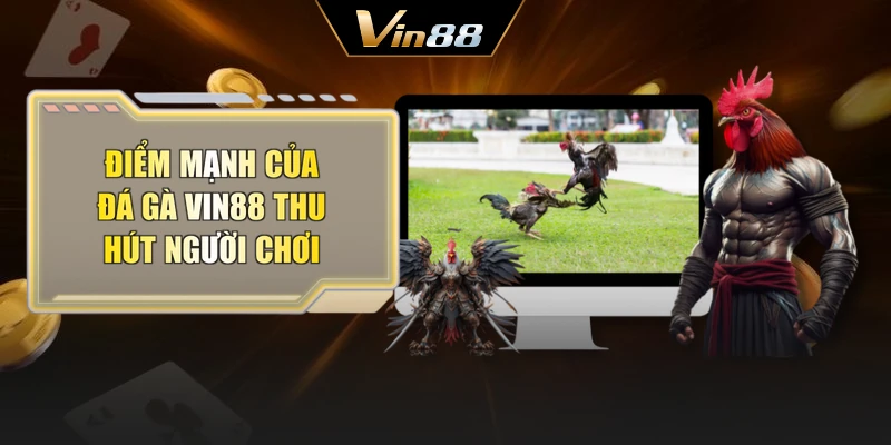 Điểm mạnh của đá gà Vin88 thu hút người chơi