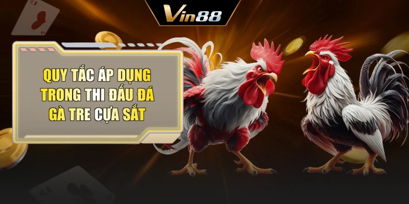 Quy tắc áp dụng trong thi đấu đá gà tre cựa sắt