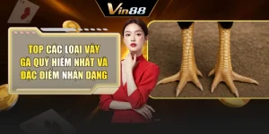 Top Các Loại Vảy Gà Quý Hiếm Nhất Và Đặc Điểm Nhận Dạng