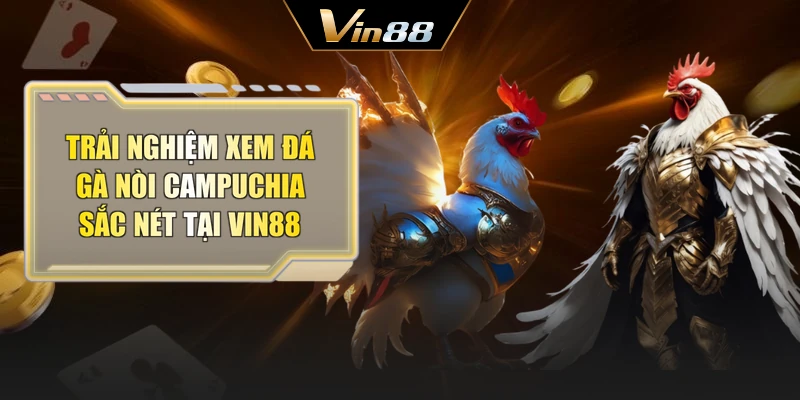 Trải nghiệm xem đá gà nòi Campuchia sắc nét tại Vin88