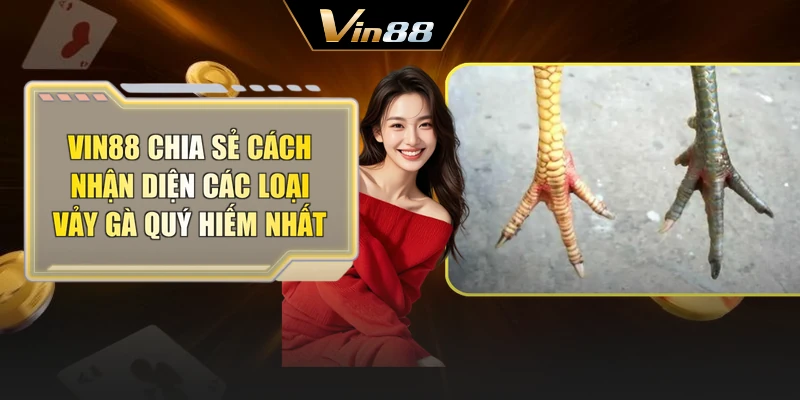 Vin88 chia sẻ cách nhận diện các loại vảy gà quý hiếm nhất