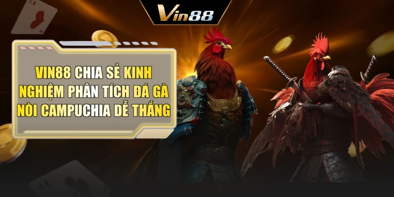 Vin88 chia sẻ kinh nghiệm phân tích đá gà nòi Campuchia dễ thắng