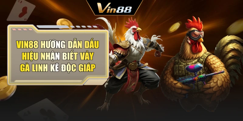 Vin88 hướng dẫn dấu hiệu nhận biết vảy gà linh kê độc giáp